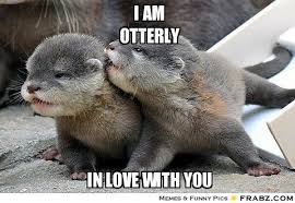 Rumaisa Peck Love Meme Animal