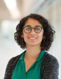 American Chemical Society