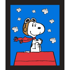 Check spelling or type a new query. Cotton Fabric Large Panel Peanuts Snoopy And The Red Baron Doghouse 4my3boyz Fabric