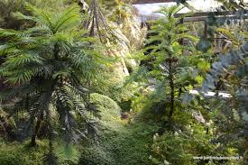 La Serre Australe Jardin Du Beau Pays Un Petit Gout De Nouvelle Zelande Chez Nous Jardins Jardin Anglais Serre