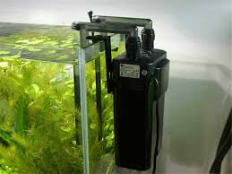 Seperti apa sih urutan media filter yang benar pada aquarium ikan hias? Apakah Filter Aquarium Boleh Dimatikan Sobat Akuatik