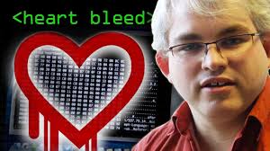 Heartbleed, Running the Code