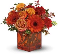 In november 2002, the eataly concept was born from oscar farinetti's idea sketched on a piece of paper.the idea was simple: Graser S Florist Get Well Flower Delivery Kenmore And Buffalo Ny Graser S Florist Kenmore And Buffalo Ny Get Well Flowers