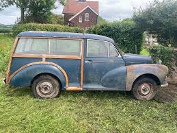 Image result for Rose Taupe 1964 Morris