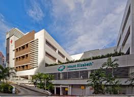 Mount Elizabeth Hospital Singapura Cara Berobat Check Up Biaya Dokter Smarter Health