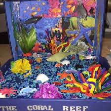 Biome In A Box Project Coral Reef Ecosystem Shoebox Project Habitats Projects Diorama Kids Ocean Habitat