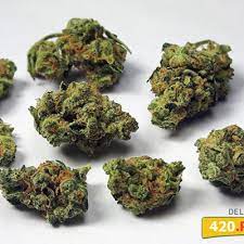 Top 10 Haze Strains Cannaconnection Com