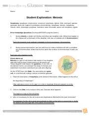 Cell grows, performs its normal functions, and prepares for division. Meiosis Student Exploration Sheet Name Date Student Exploration Meiosis Vocabulary Anaphase Chromosome Crossover Cytokinesis Diploid Dna Dominant Course Hero