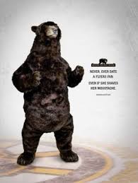 More ideas from the bear. 10 Bruins Ideas Bruins Boston Bruins Bruins Hockey