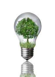 Cfl Vs Incandescent Bulbs An Overview Of An Energy Efficiency Lighting Experiment By Paul Wheaton One Community