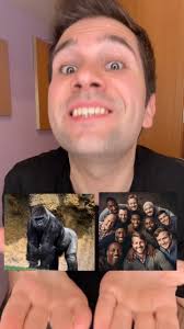 Gorila vS 100 hombres.