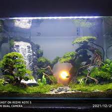 Jual aquascape air terjun sunset - Kota Surabaya - pickup | Tokopedia