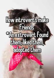 Pin On Introvert Friendship