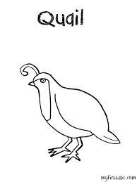 We have collected 38+ quail coloring page images of various designs for you to color. Quail Coloring Page My First Abc Coloring Home