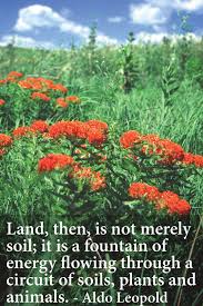Land Then Is Not Merely Soil It Is A Fountain Of Energy Flowing Through A Circuit Of Soils Plants Nature Quotes Beautiful Landscaping Quotes Nature Quotes