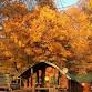 LABOR DAY - FALL FEST WEEKEND