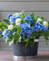 It is crafted to be more realistic than other artificial plants on the market. Outdoor Hydrangea Foliage Balsam Hill Hydrangea Potted Artificial Flowers Outdoor Flowers