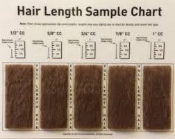 Shave Blade Sample Chart For Grooming Grooming 101 Dog