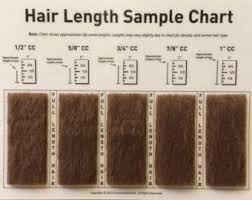 shave blade sample chart for grooming grooming 101 dog