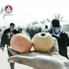 طلائع مسيرة الاربعين تحث خطاها نحو كربلاء الحسين عليه السلام البصرة مدينة الفاو كن مراسلا للغدير وارسل لنا صور من طريق العشق food fruit cantaloupe