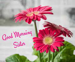 I fill so empty and you alone can fill that empty space the angel of my life. 120 Lovely Good Morning Wishes And Greetings For Sister