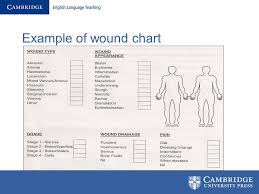 Wound Assessment Diagram Schematics Online