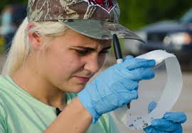 Flagler College students use summer break to get ahead in field experience
