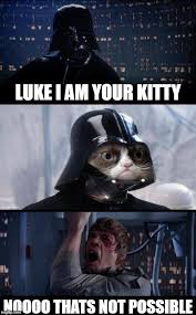 Star Wars Grumpy Father Funny Animals Grumpy Cat Grumpy