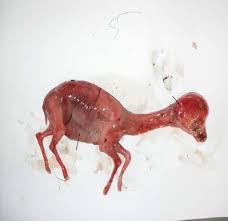 This article covers the anatomy of the digestive system, its organs, functions, and clinical aspects. Https Www Longdom Org Open Access Gross Embryonic Diffrentiation Of The One Humped Camelcamelus Dromedarius Stomach 2161 0940 1000131 Pdf