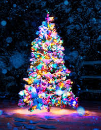 How many lights for trees. Wrapping Trees With Christmas Lights