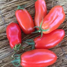 Image result for tomato San Marzano