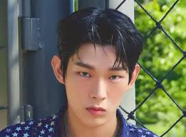 Steven (AHOF) profile, age & facts (2025 updated)