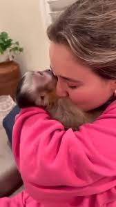 Hannah Feder's Instagram, Twitter & Facebook