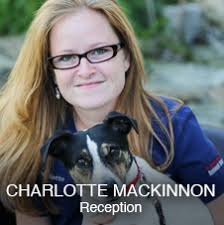 Large and Small Animal Services