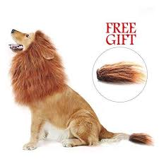 Wapike Lion Dog Mane Turn Your Dog Into A Strong Lion Big Pet Dog Lion Mane Wig Tail Festive Party Gorgeous Costume Da Dog Lion Mane Lion Mane Dog Clothes