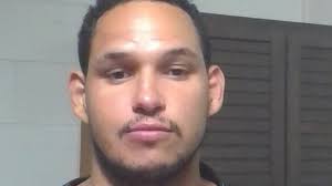 Daniel Trent Faro pleads guilty to choking his pregnant partner