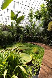Visiting Royal Botanic Garden Edinburgh Scotland Annie Fairfax Botanic Gardens Edinburgh Beautiful Gardens Botanical Gardens
