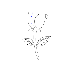 Collection of simple rose drawings (32) easy rose stem drawing simple drawing sketch roses outline How To Draw A Simple Rose Easy Drawing Guides