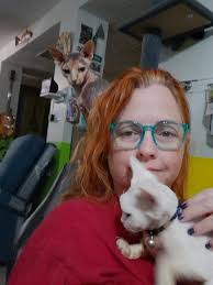 Charlotte's Web Cattery