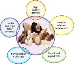 Mushrooms as Functional and Nutritious Food Ingredients for Multiple Applications | ACS Food Science & Technology