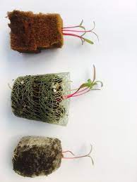 What Grower Medium Would You Chose We Recommend Oasis Horticubes Xl With All Our Nft Systems Hydroponics Aquaponic Gardening Hydroponics Diy