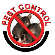 Are you looking for the pest control singapore services? Services Campbelltown Pest Control Termite Control Campbelltown