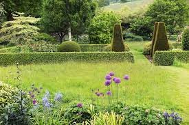 How To Find A Gardener Who S Perfect For Your Garden The Middle Sized Garden Gardening Blog