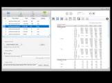 Windows 10 and PDF To Excel Converter