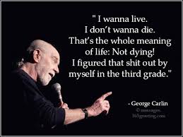 Maybe you would like to learn more about one of these? George Carlin Quotes 365greetings Com
