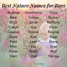 148 Best Nature Names For Boys Nature Names For Boys Nature Names Boy Names