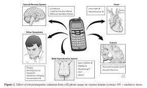 Effects Of Electromagnetic Radiation From Cell Phone Usage On Various Human Systems Neuropsy Webdesign