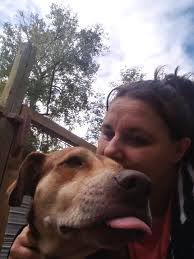 Rescued dog found new home after near-death experience