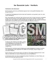 Und auch an diejenigen, denen man nach der vertragsunterzeichnung kurz vorgestellt wurde, kann man sich wahrscheinlich nicht mehr so genau erinnern, waren es doch viele neue gesichter, die man gesehen hat. Luchs Steckbrief Tiersteckbriefe Lesen Steckbriefe Tiere Sachthemen Hus Klasse 3 Grundschulmaterial De