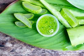 Inspired vestige aloe vera capsules benefits and uses : Aloe Vera 10 Amazing Benefits That Will Boost Your Health